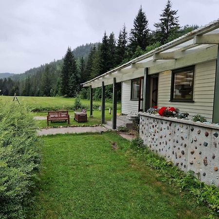River Run Ranch - Telemark Drangedal Extérieur photo