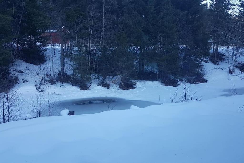 River Run Ranch - Telemark Drangedal Extérieur photo