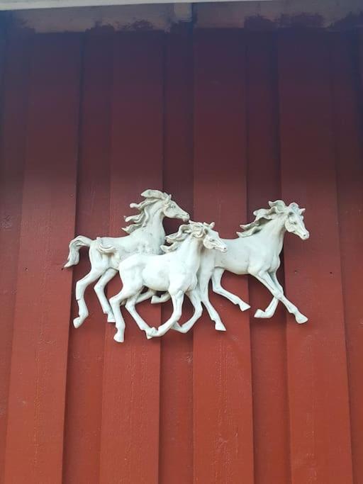 River Run Ranch - Telemark Drangedal Extérieur photo