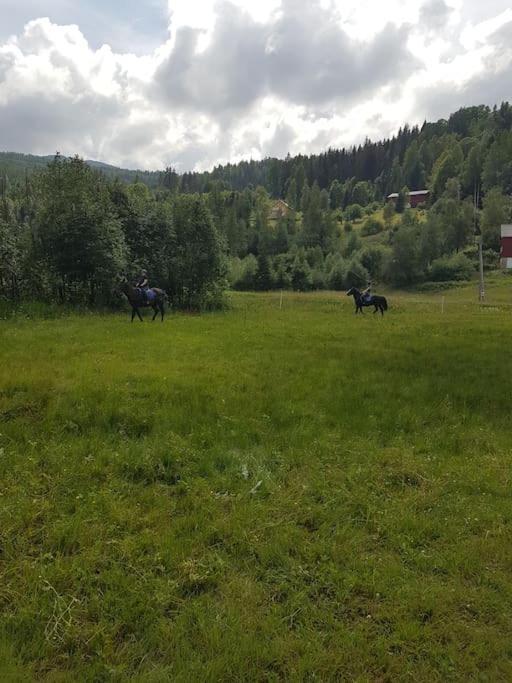 River Run Ranch - Telemark Drangedal Extérieur photo