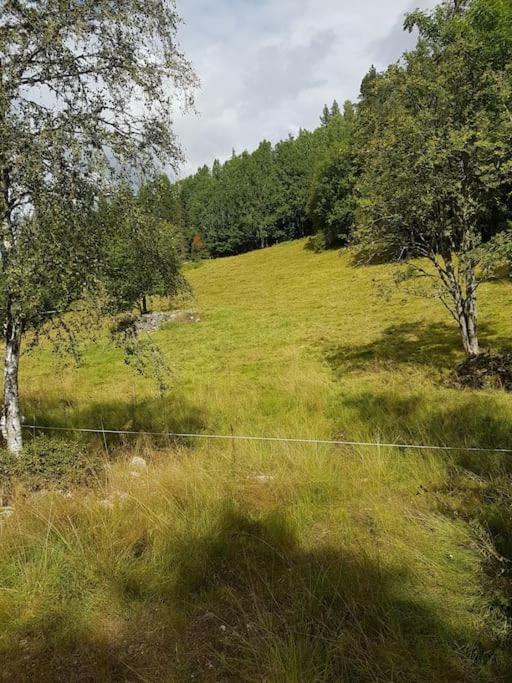 River Run Ranch - Telemark Drangedal Extérieur photo