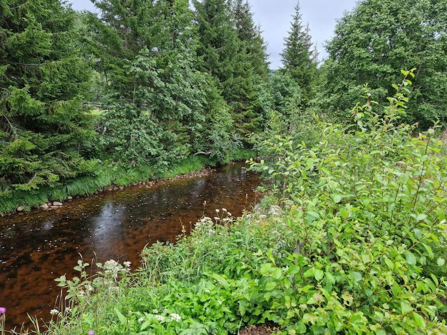 River Run Ranch - Telemark Drangedal Extérieur photo
