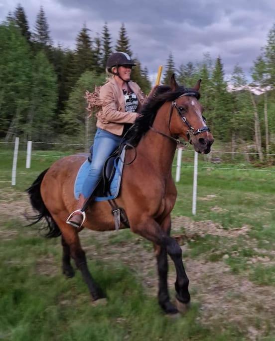 River Run Ranch - Telemark Drangedal Extérieur photo