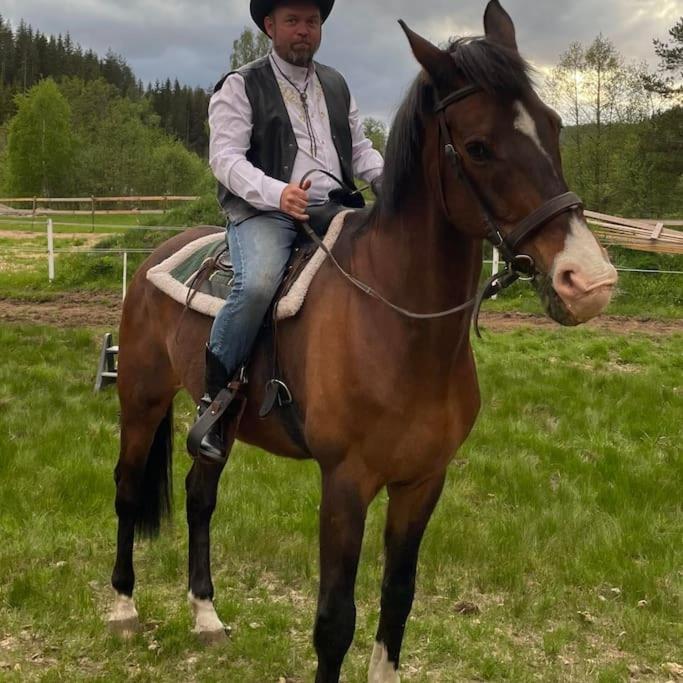 River Run Ranch - Telemark Drangedal Extérieur photo