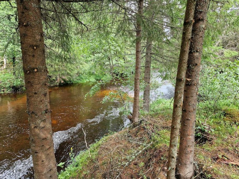 River Run Ranch - Telemark Drangedal Extérieur photo